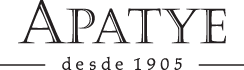 Professional Logo